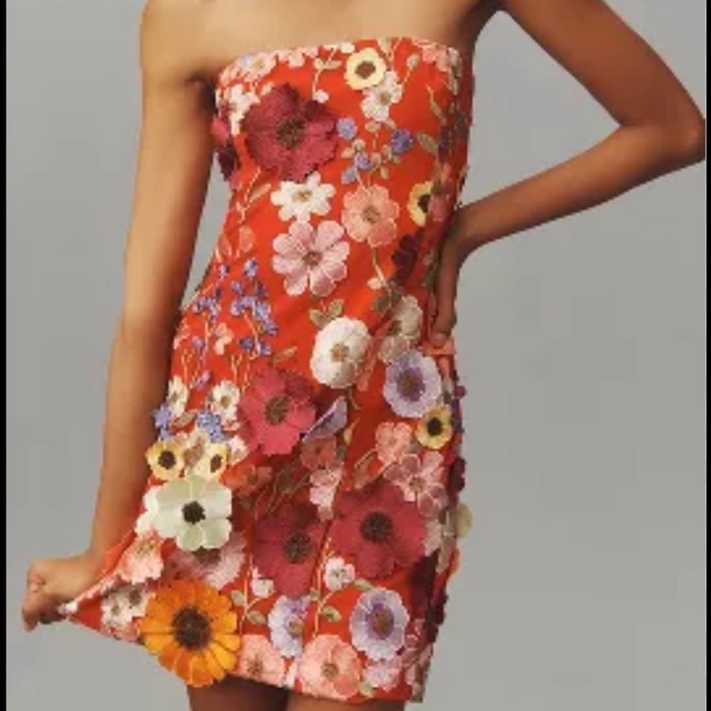 Endless Rose Floral Embroidered Dress
